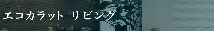 エコカラット　リビング